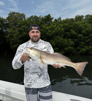 Reel in Sarasota's Finest Redfish